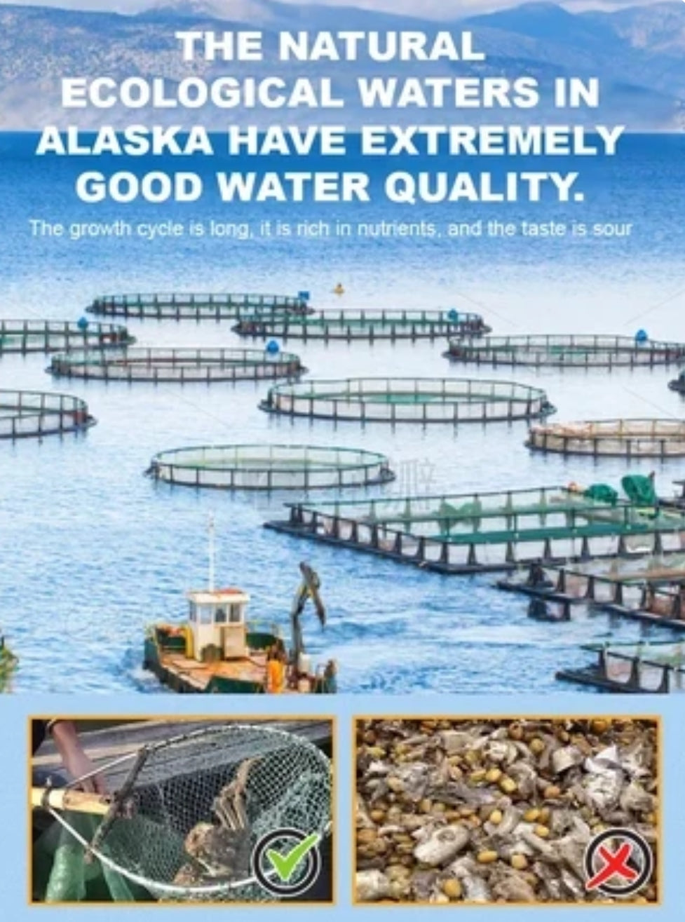 Alaskan Snow Crab Ready-to-EatCrispy Crab-Elon